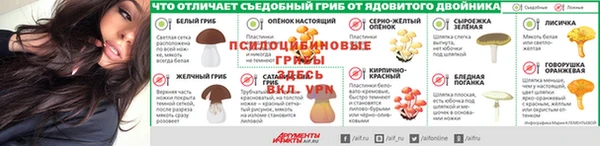 PSILOCYBIN Алексеевка