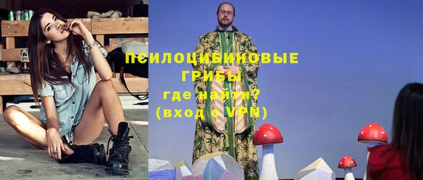 PSILOCYBIN Алексеевка
