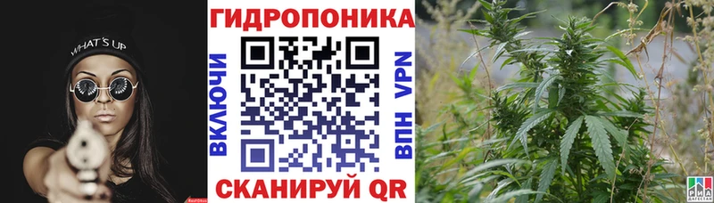 Бошки марихуана SATIVA & INDICA  цены наркотик  Бирюч 